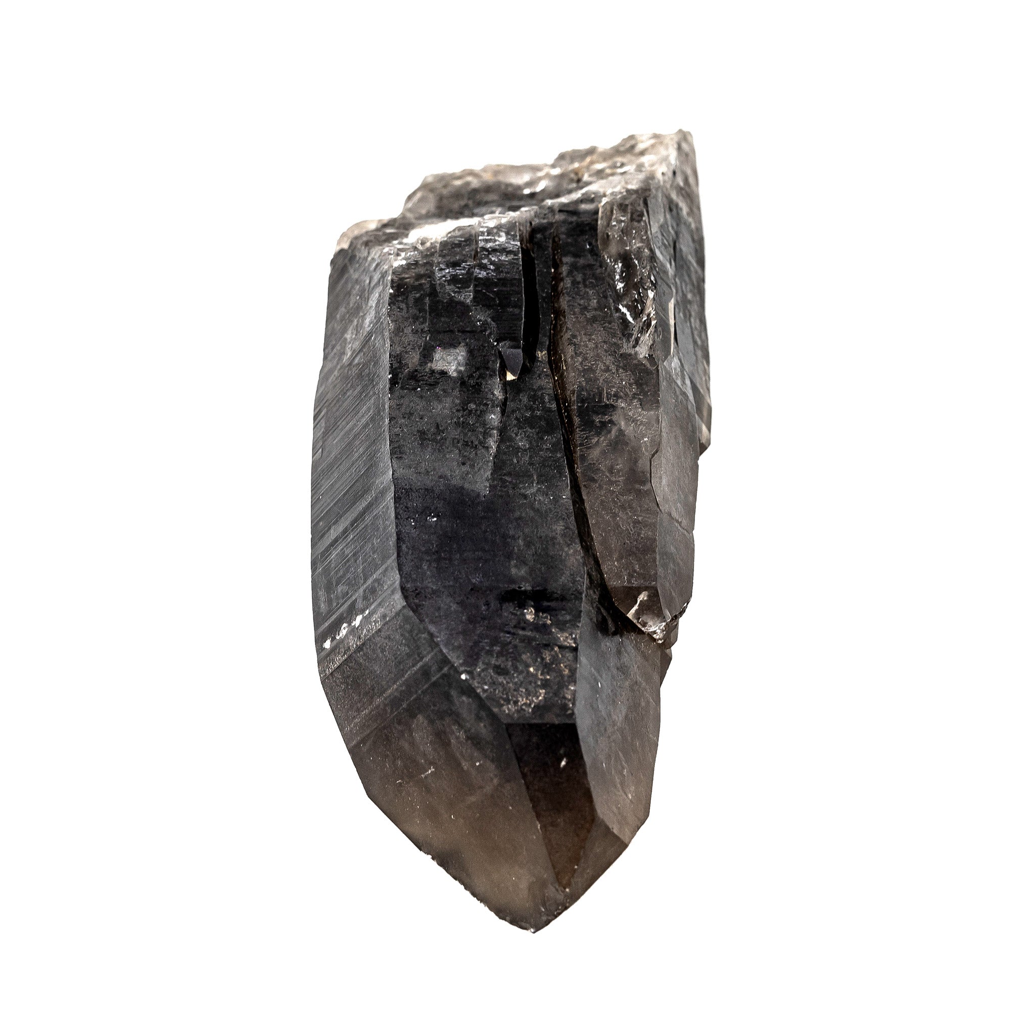 Smokey Lemurian Quartz