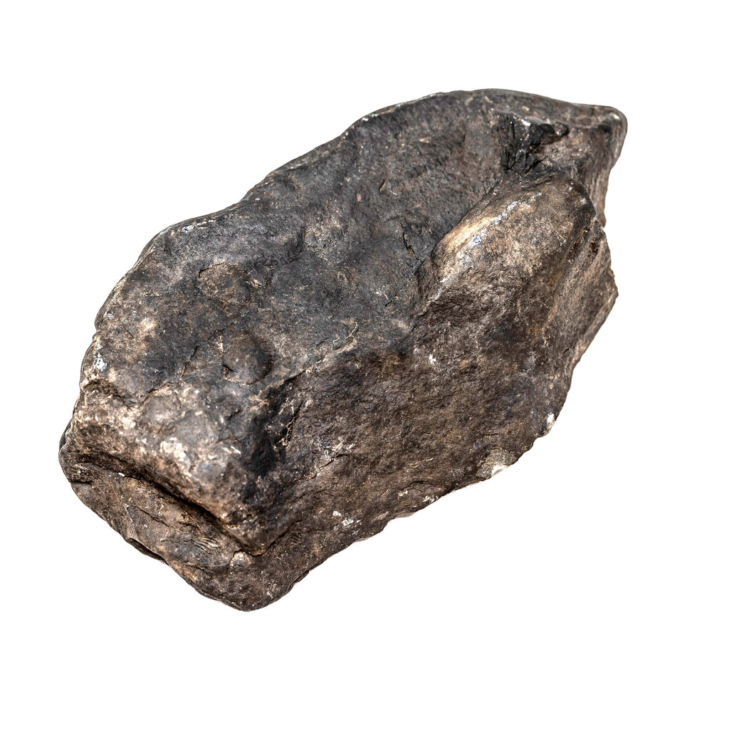 Mother Earth Raw Fossil 2487g