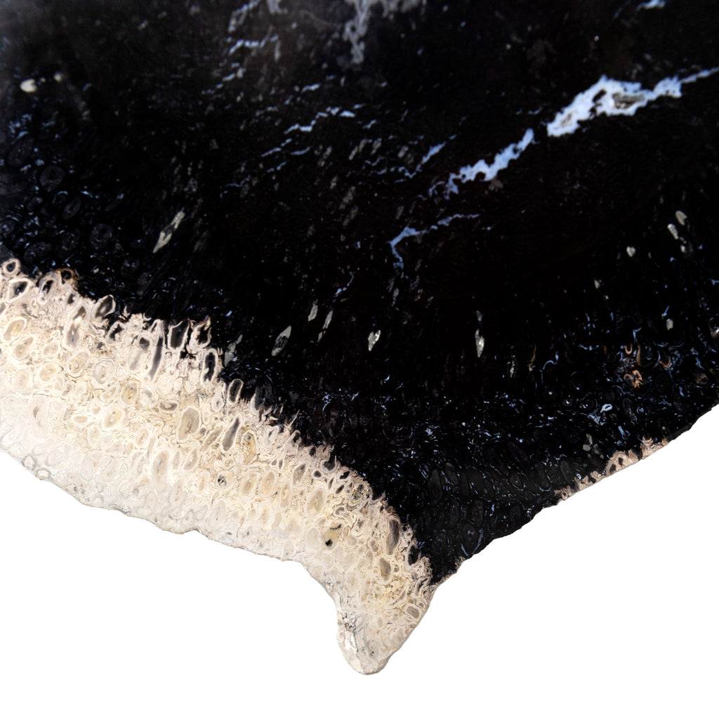 Fossilized Black Palm Root Slab 6.24Kg