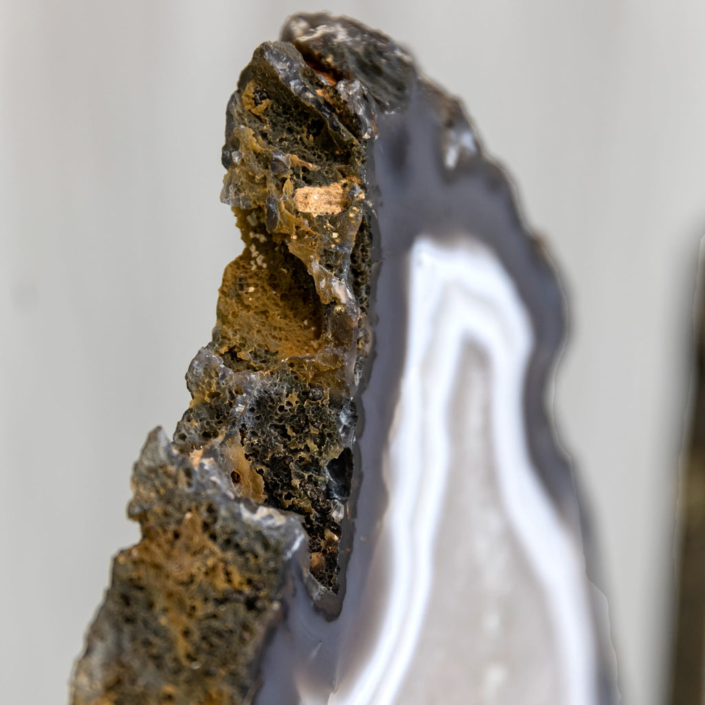 Gray Agate Butterfly Slices with Iron Base