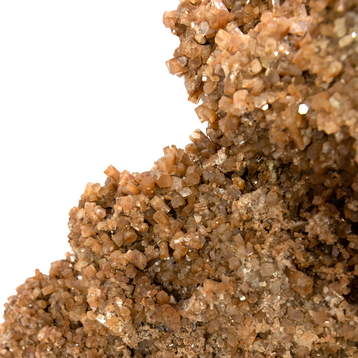 Aragonite XL Slab