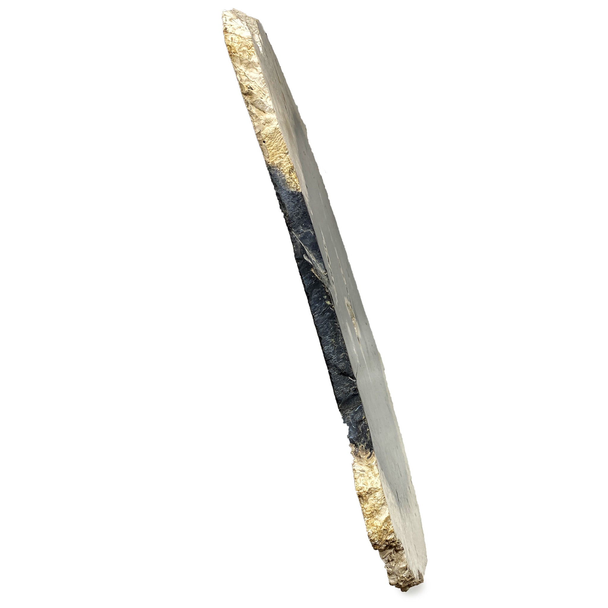 Fossilized Black Palm Root Slab 6.24Kg