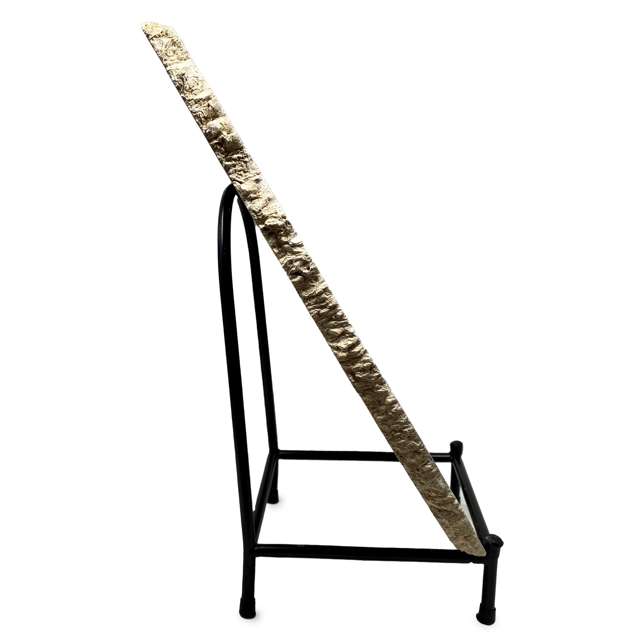 Fossilized Black Palm Root Slab 6.24Kg