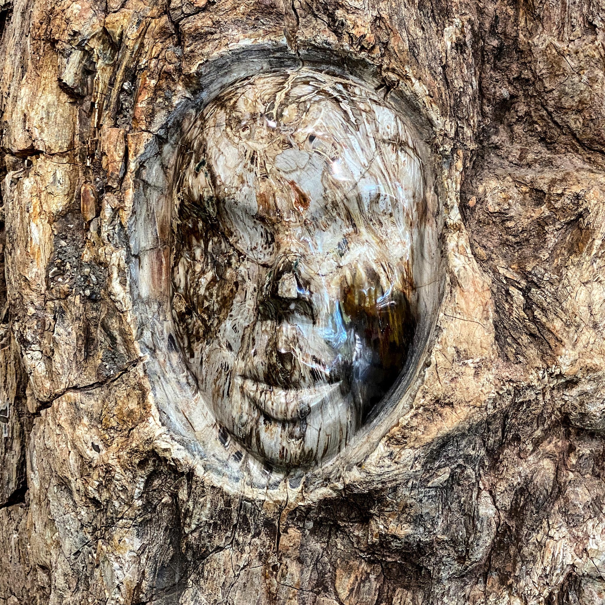 Petrified Tree Trunk with Engraved Face from Madagascar
