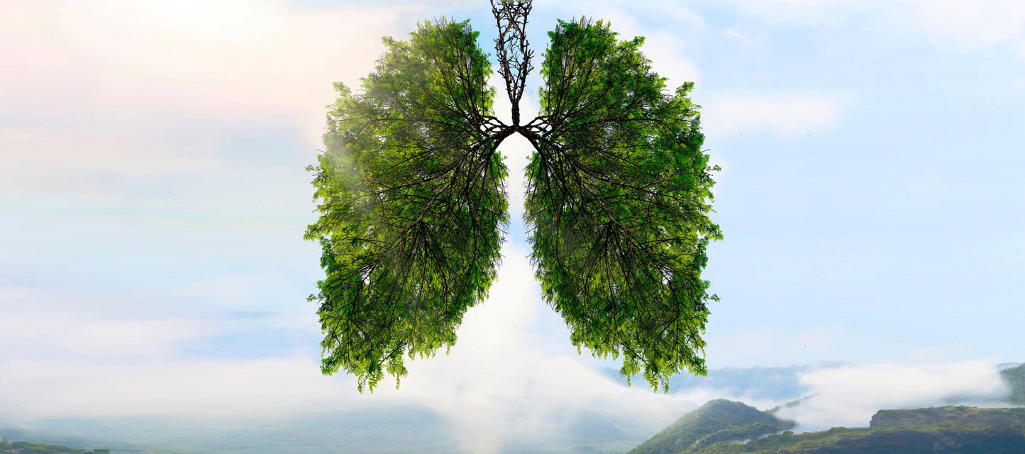Breathwork