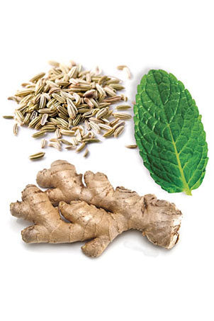 DigestZen | Spicy, Sweet, Minty & Licorice | doTERRA 5ml